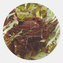 Mother Cardinal Sticker