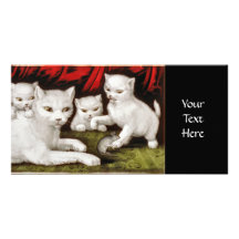 Mother cat and kittens with mouse picture card