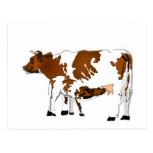 Mother Cow with Calf Post Cards