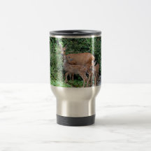 Mother Deer and Fawns Photo Mugs
