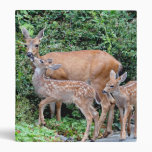 Mother Deer and Fawns Photo Vinyl Binders