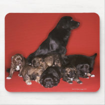 Mother dog with puppies mouse pads