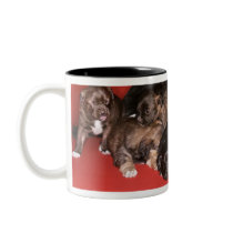Mother dog with puppies mugs