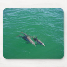 Mother Dolphin Swimming With Her Two Off-Springs Mouse Pads