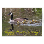 Mother Goose and Baby Geese Photo Cards