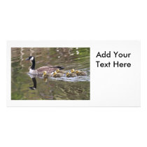 Mother Goose and Baby Geese Photo Customized Photo Card