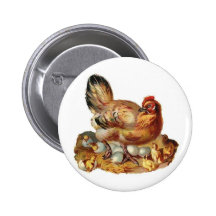 Mother Hen and Chicks Pin