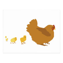 Mother Hen and Chicks Postcards