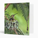 Mother Hummingbird on Nest 3 Ring Binder