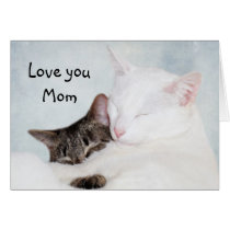Mother kitty love cards