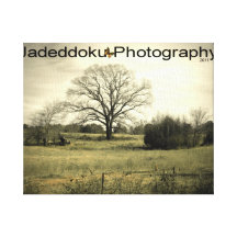 Mother Natures landscape Gallery Wrap Canvas