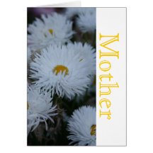 Mother Paper Daisies card