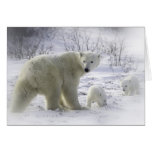Mother polar bear with young cubs greeting card