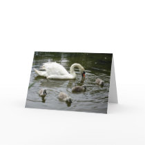 Mother’s Day Swan Lake - Card