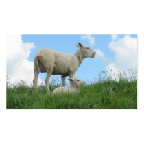 Mother Sheep & Her Lamb Grass Photo Poster Print Business Card Template