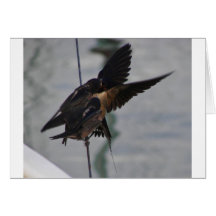 Mother swallow card