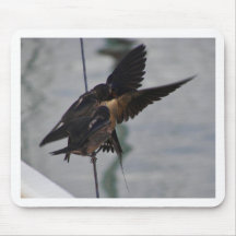 Mother swallow mouse pads