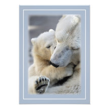 Motherly Love Photographic Print