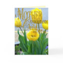 Mothers Day Card