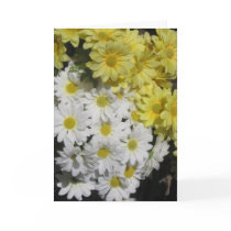 Mothers Day Greeting Card