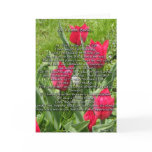 Mother's Day cards