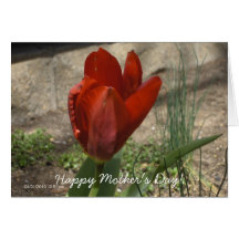 Mother's Day card