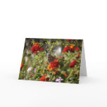 Mother's Day Card, Blank