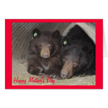 Mother's Day card - mom & cub