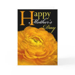 Mother's Day Cards