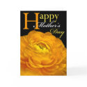 Mother's Day Cards