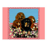Mother's Day Dachshunds Post Card