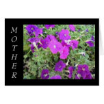 Mother's Day Flower Garden Card