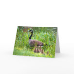 Mother's Day Geese Cards