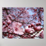 MOTHERS DAY GIFTS Spring Blossoms Art Prints