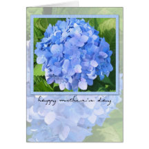 mother's day hydrangeas greeting cards