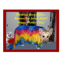 Mother's Day Modeling Clothes Post Cards