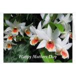Mothers Day Orchids Card
