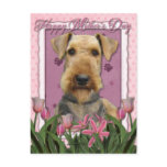 Mothers Day - Pink Tulips - Airedale Postcards