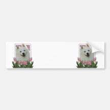 Mothers Day - Pink Tulips - American Eskimo Bumper Sticker