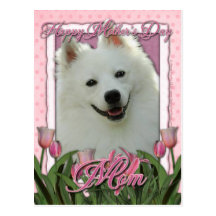 Mothers Day - Pink Tulips - American Eskimo Postcards