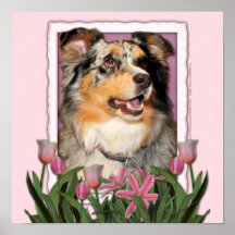 Mothers Day - Pink Tulips - Aussie - Gustine Poster
