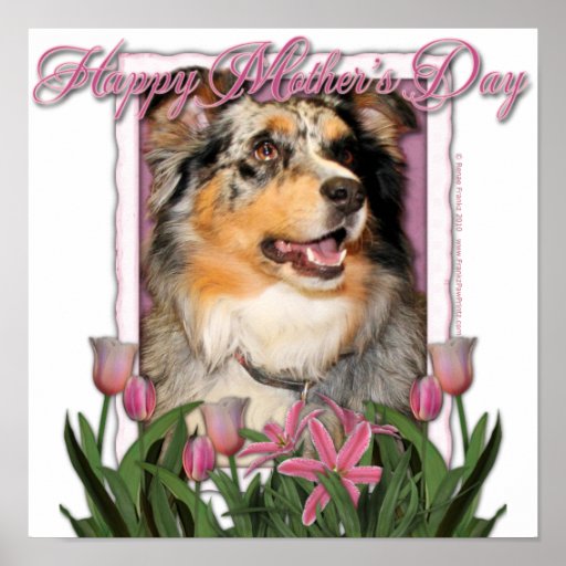 Mothers Day - Pink Tulips - Aussie - Gustine Print