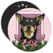 Mothers Day - Pink Tulips - Australian Kelpie Jude