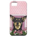 Mothers Day - Pink Tulips - Australian Kelpie Jude