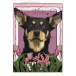 Mothers Day - Pink Tulips - Australian Kelpie Jude Cards