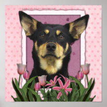 Mothers Day - Pink Tulips - Australian Kelpie Jude Print