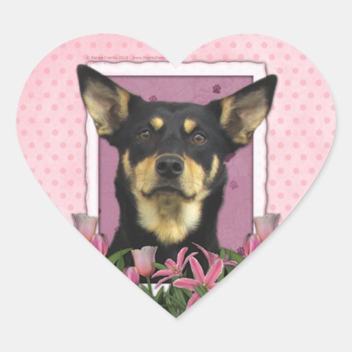 Mothers Day - Pink Tulips - Australian Kelpie Jude Stickers
