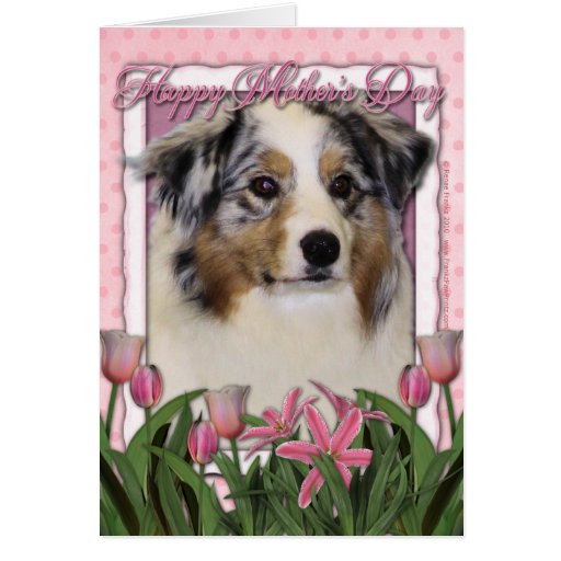 Mothers Day - Pink Tulips - Australian Shepherd Cards