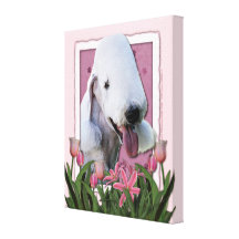 Mothers Day - Pink Tulips - Bedlington Terrier Canvas Print