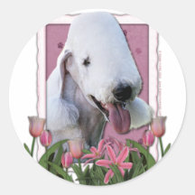 Mothers Day - Pink Tulips - Bedlington Terrier Stickers